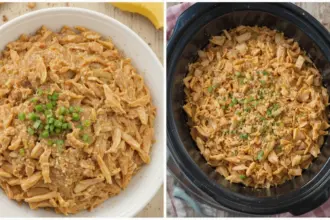 Easy Shredded Chicken Crockpot Recipes