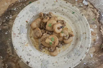 Mushroom Chicken Recipes Easy
