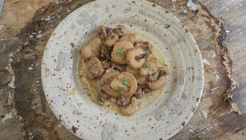 Mushroom Chicken Recipes Easy