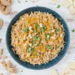 Shredded Chicken Dip Recipes Easy