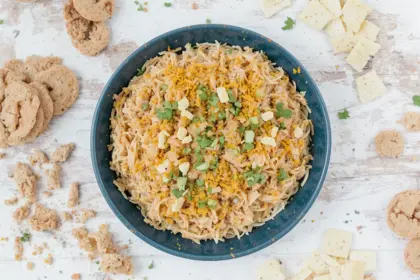 Shredded Chicken Dip Recipes Easy