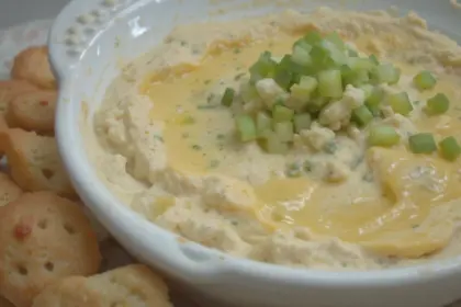 Chicken Dip Recipes Easy