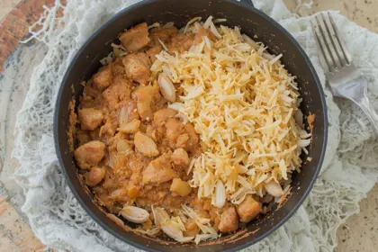 Leftover Shredded Chicken Recipes Easy