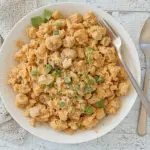 Healthy Shredded Chicken Recipes Easy