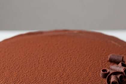 1 Layer Chocolate Cake