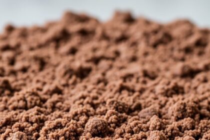 Chocolate Crumble Cake