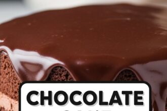 Chocolate Cake With Chocolate Pudding