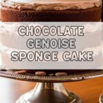 Chocolate Genoise Sponge Cake