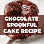 Chocolate Spoonful Cake Recipe