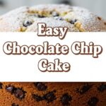 Easy Chocolate Chip Cake