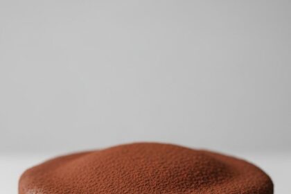 Chocolate Cake One Layer