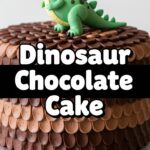 Dinosaur Chocolate Cake