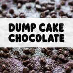 Dump Cake Chocolate