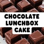 Chocolate Lunchbox Cake