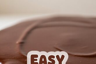 Easy Chocolate Mousse Cake