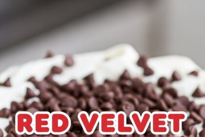 Red Velvet Chocolate Chip Cake