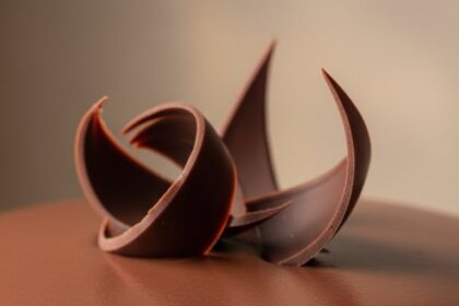 Chocolate Cake 2 Layer