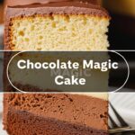 Chocolate Magic Cake