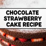 Chocolate Strawberry Cake Recipe