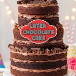 Layer Chocolate Cake