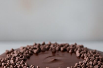 Yellow Cake Chocolate Icing