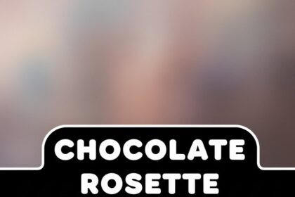 Chocolate Rosette Cake