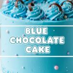 Blue Chocolate Cake