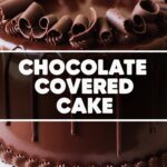 Chocolate Covered Cake