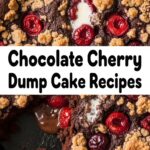 Chocolate Cherry Dump Cake Recipes