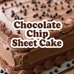 Chocolate Chip Sheet Cake