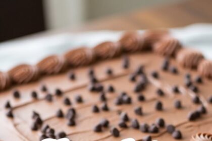 Chocolate Chip Sheet Cake