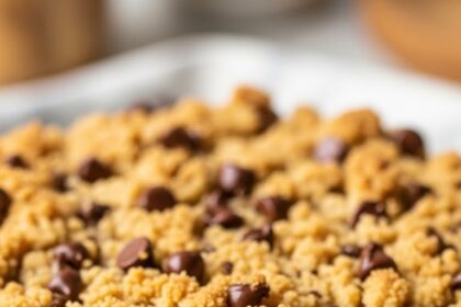 Chocolate Chip Crumb Cake