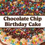 Chocolate Chip Birthday Cake