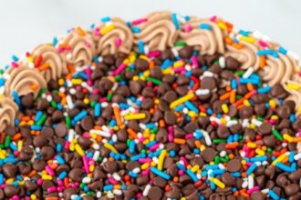 Chocolate Chip Birthday Cake