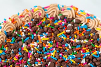 Chocolate Chip Birthday Cake