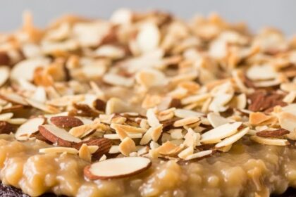 Dairy Free German Chocolate Cake