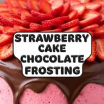 Strawberry Cake Chocolate Frosting