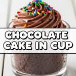 Chocolate Cake In Cup