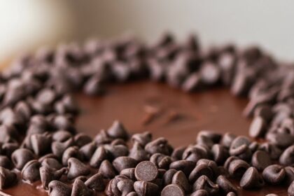 Chocolate Cake With Chocolate Chips