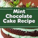 Mint Chocolate Cake Recipe