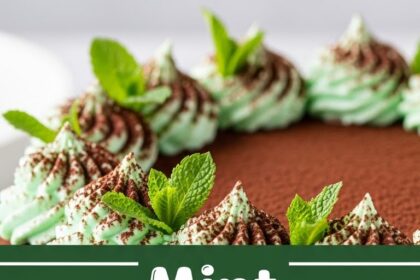Mint Chocolate Cake Recipe