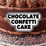 Chocolate Confetti Cake