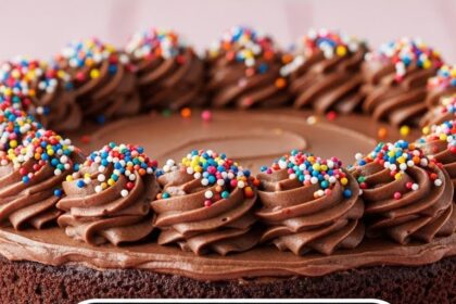 Chocolate Confetti Cake