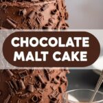 Chocolate Malt Cake