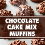 Chocolate Cake Mix Muffins