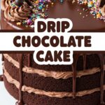 Drip Chocolate Cake