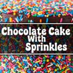 Chocolate Cake With Sprinkles