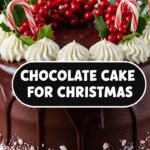 Chocolate Cake For Christmas