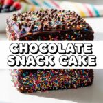 Chocolate Snack Cake