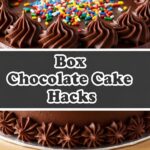 Box Chocolate Cake Hacks